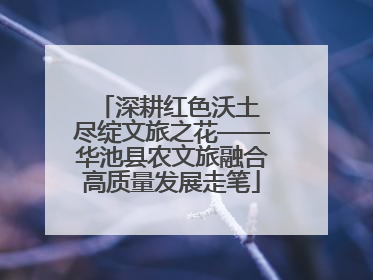 深耕红色沃土 尽绽文旅之花——华池县农文旅融合高质量发展走笔
